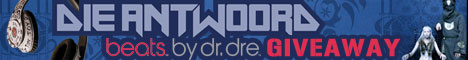DIE ANTWOORD