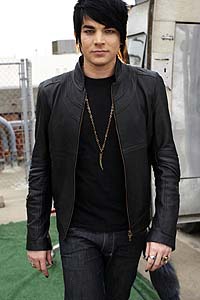Adam Lambert   ('American Idol')