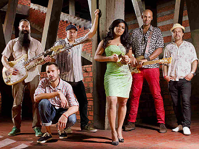 Dengue Fever