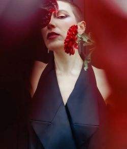 Sofia degli Alessandri [2025]